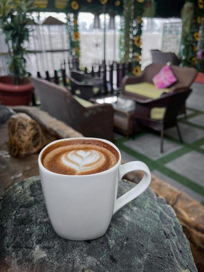 فندق اوشن بارك Hotel